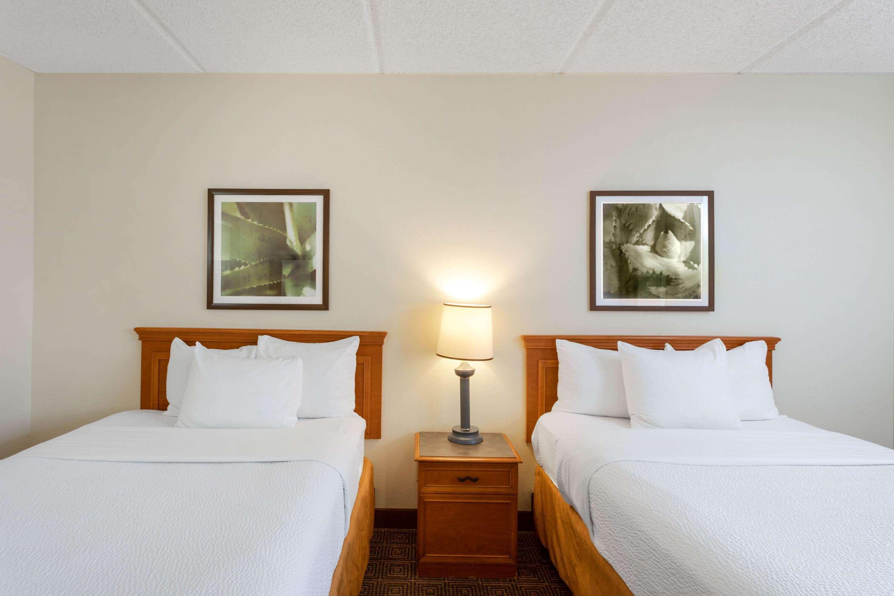 La Quinta Inn & Suites By Wyndham Jacksonville Mandarin מראה חיצוני תמונה