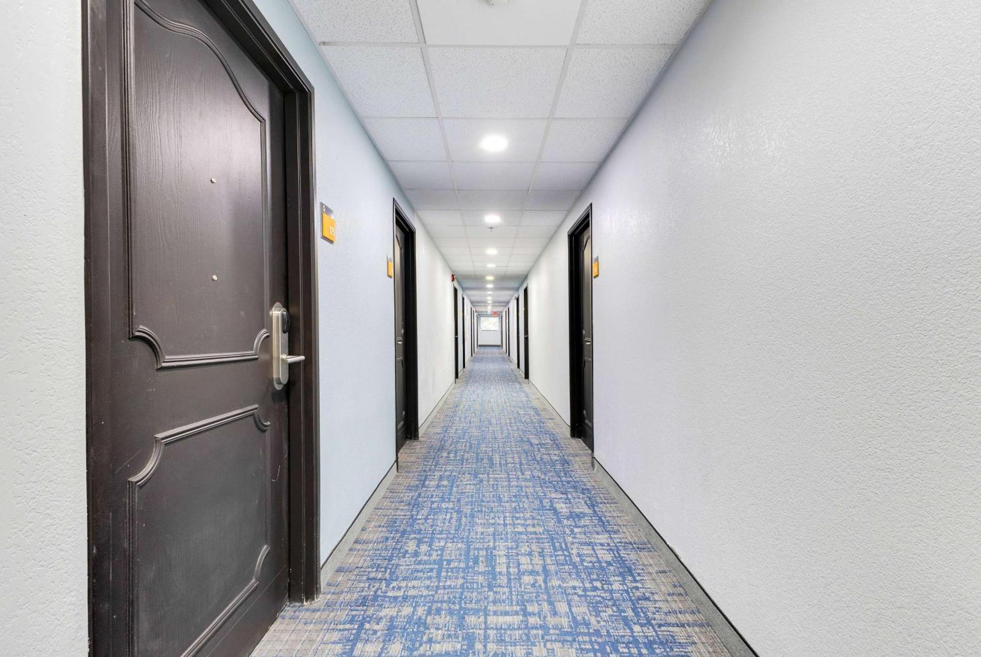 La Quinta Inn & Suites By Wyndham Jacksonville Mandarin מראה חיצוני תמונה